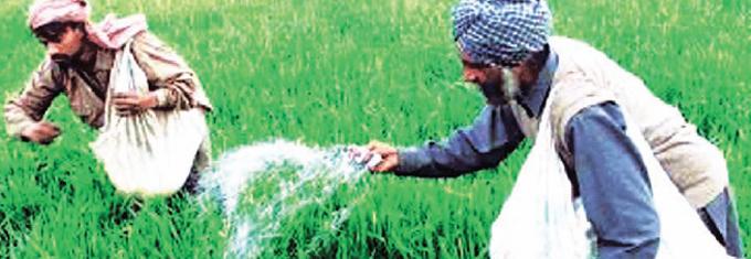 IIFCO sets eyes on Canada for urea plant | ProjectsToday