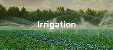 Irrigation